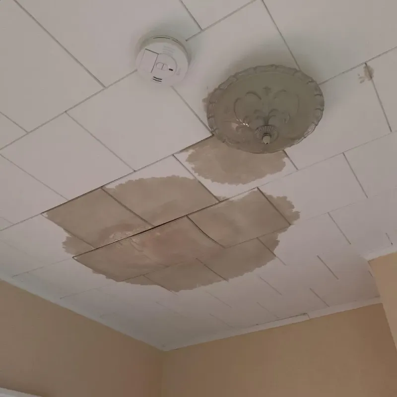 Ceiling Water Damage Repair in Adamstown, PA