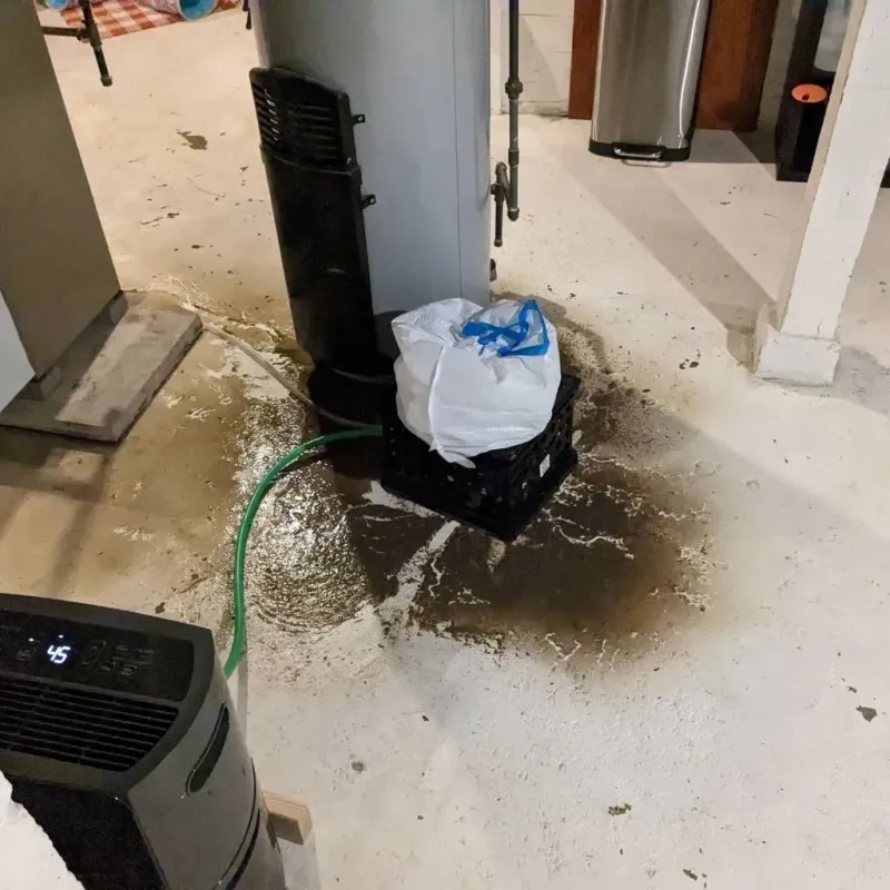 Sewage Backup Cleanup Service in Adamstown, PA
